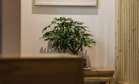 南寧裝修公司 南寧裝修公司